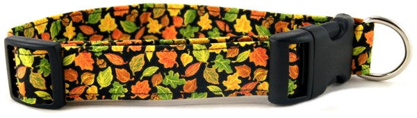 FALL LEAVES DOG COLLAR