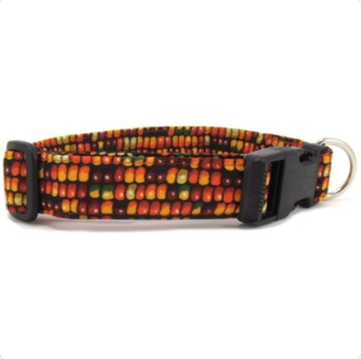 INDIAN CORN DOG COLLAR