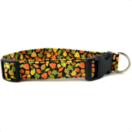 FALL LEAVES DOG COLLAR