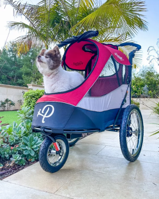 Trailblazer Pet Jogger