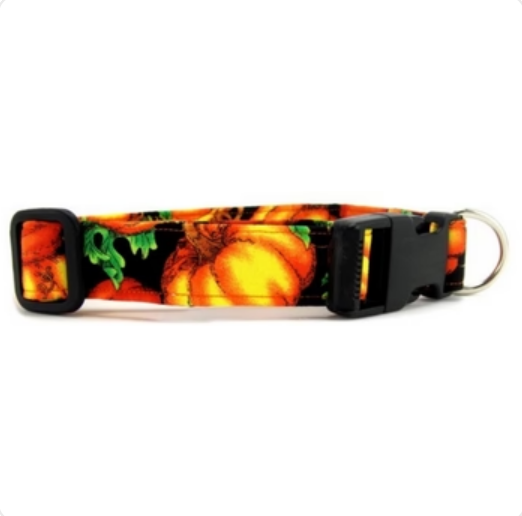 PUMPKIN DOG COLLAR