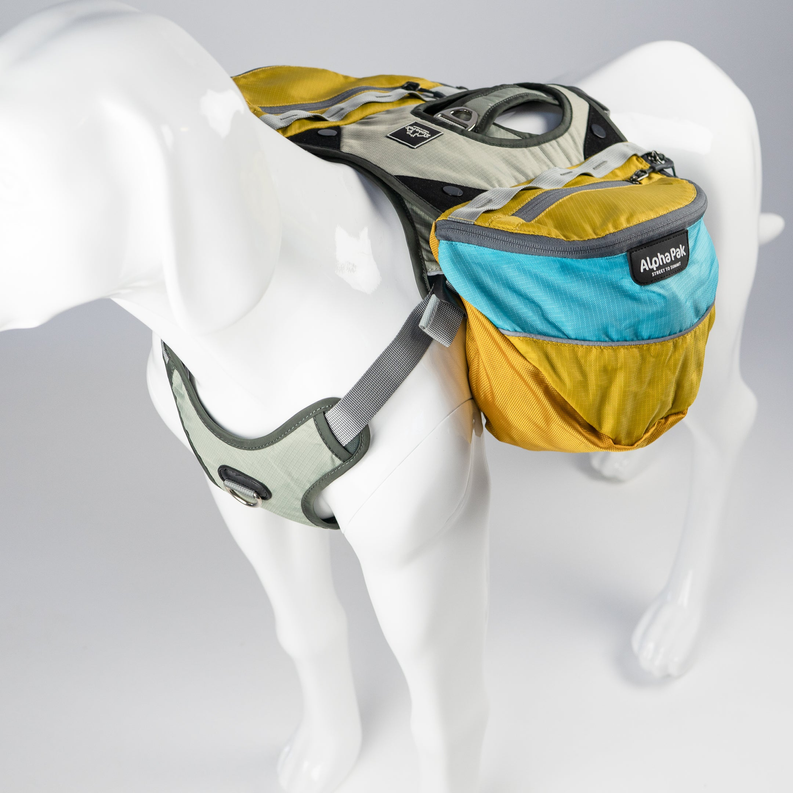 Adventurer EZ Latch Dog Pack (2-piece)
