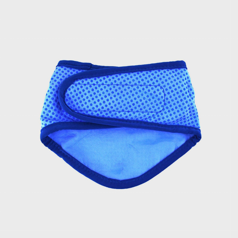 GF Pet  Ice Band